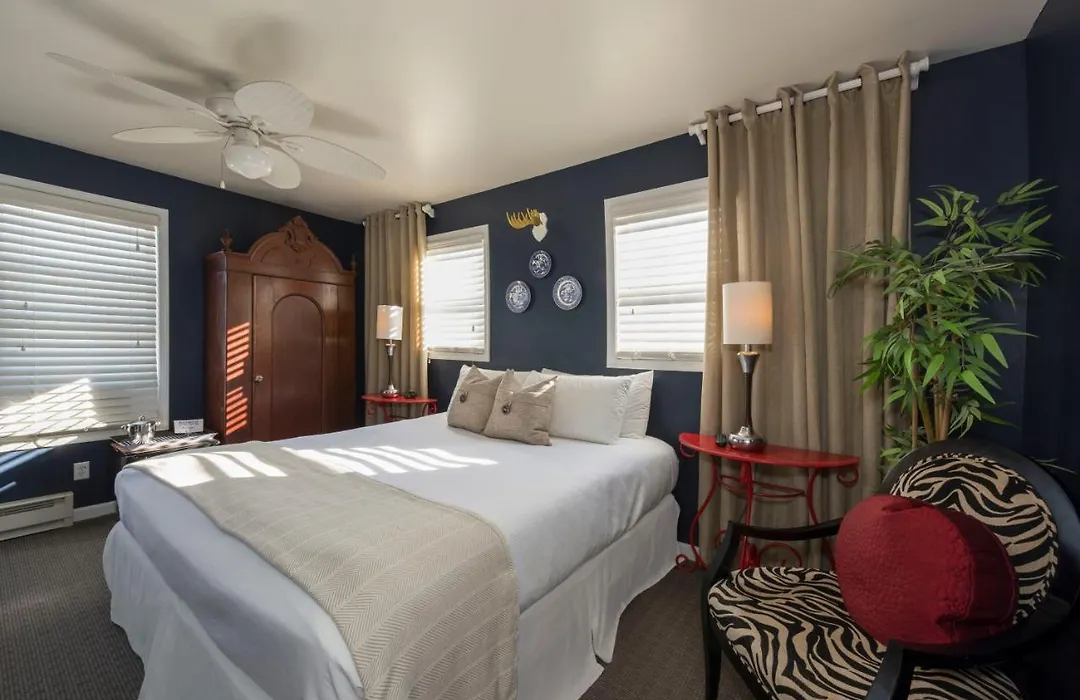 Rehoboth Guest House (Adults Only)-1